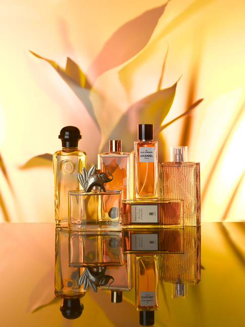 Parfums Ambre